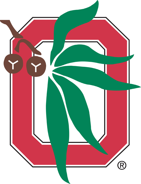 Ohio State Buckeyes 1968-Pres Alternate Logo t shirts DIY iron ons v3